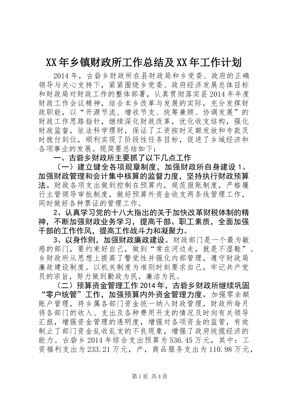 XX年乡镇财政所工作总结及XX年工作计划_第1页