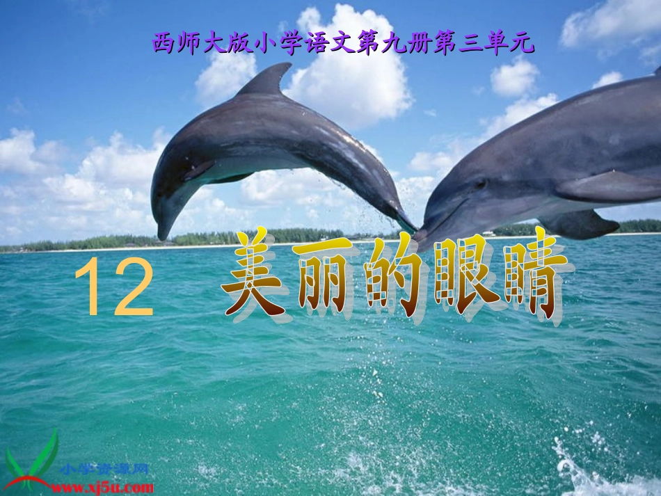 西师大版五年级语文上册《美丽的眼睛》PPT课件_第1页