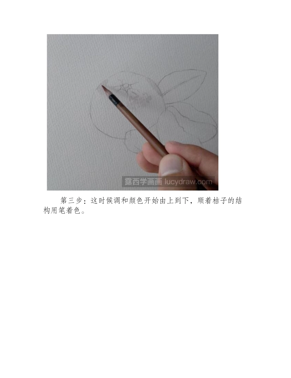 桔子的水彩画步骤水彩画教程_第2页