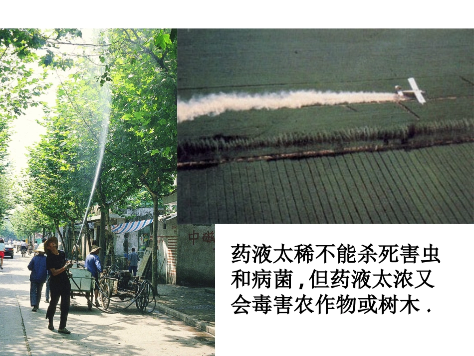 课题3__溶质的质量分数_第3页