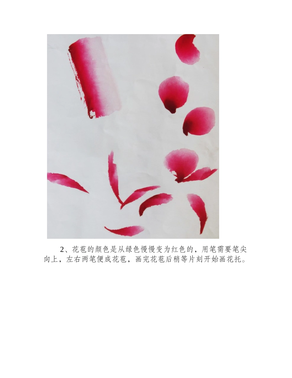 牡丹不同形态的国画教程国画教程_第2页