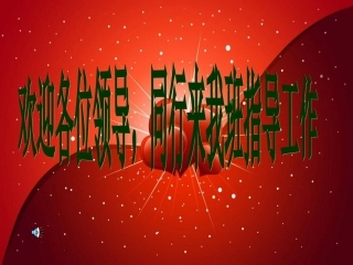 2013年中考数学专题复习(1)