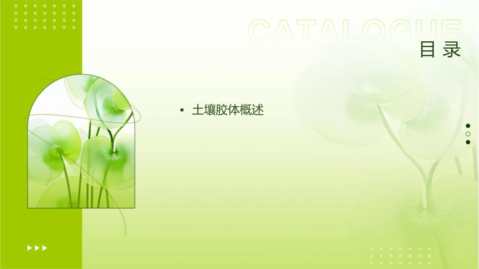 土壤胶体与离子交换作用课件_第2页