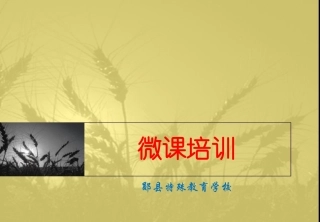 郧县特校数学微课程培训