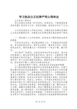 学习执法公正纪律严明心得体会 