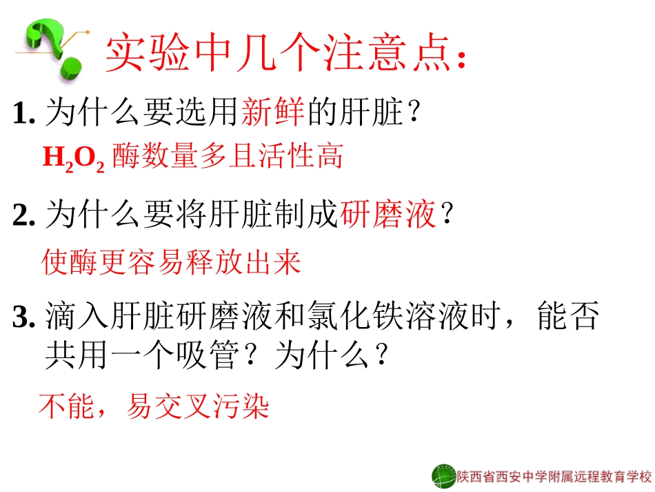 降低化学反应活化能的酶1-赵妙12-11-16_第3页