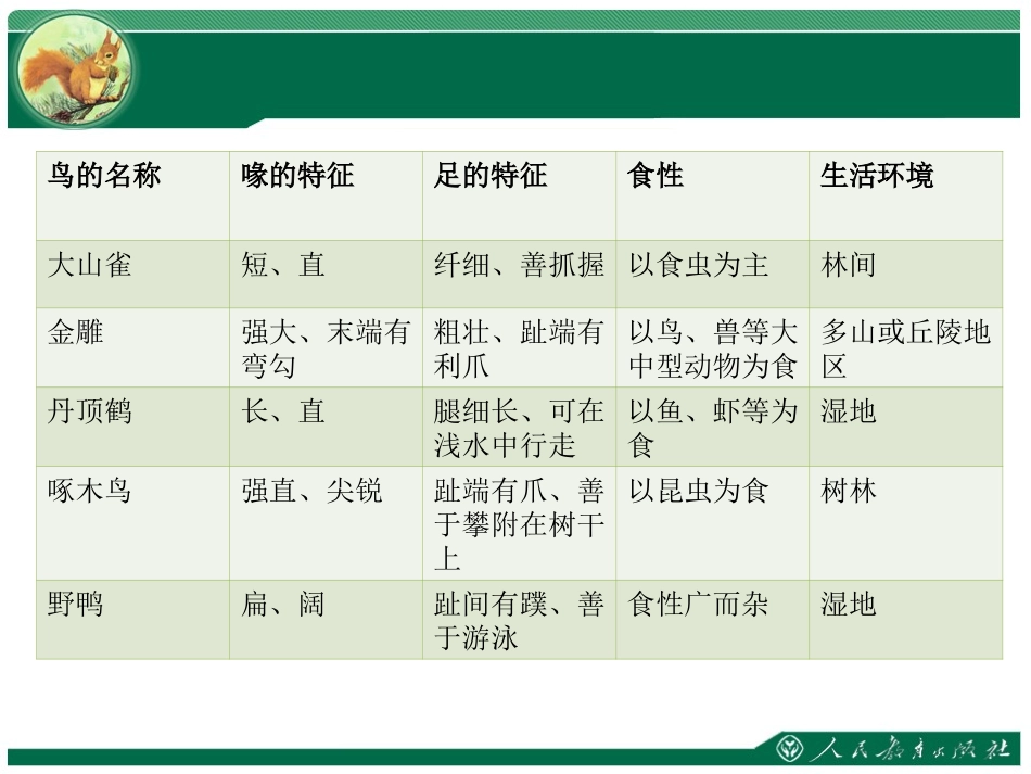 《鸟》教学课件_第3页