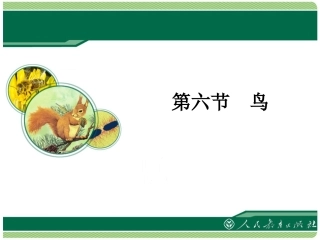 《鸟》教学课件