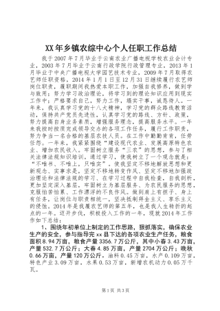 XX年乡镇农综中心个人任职工作总结