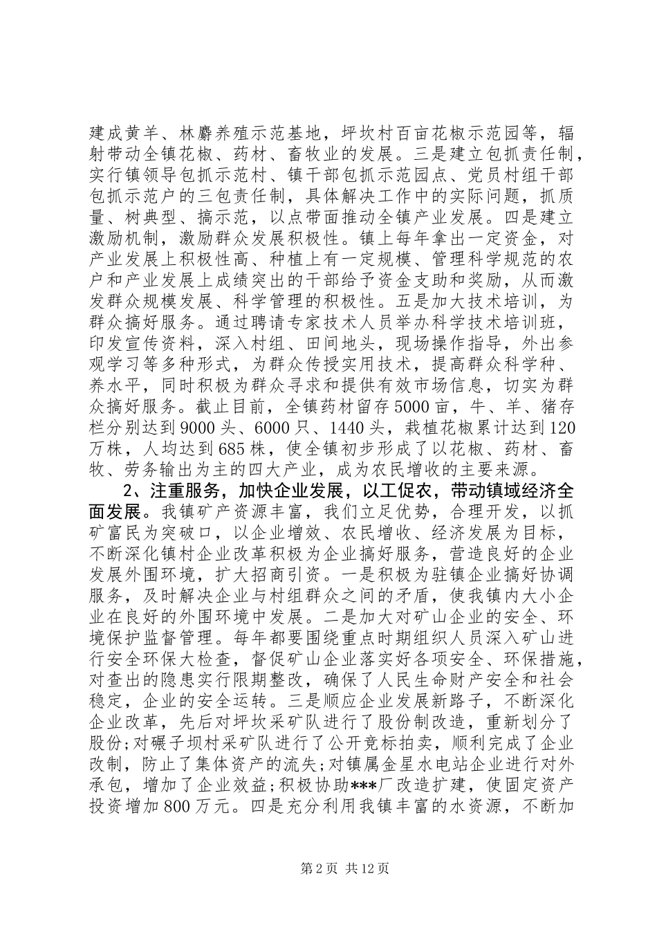 XX年乡镇党委班子届期工作总结_第2页