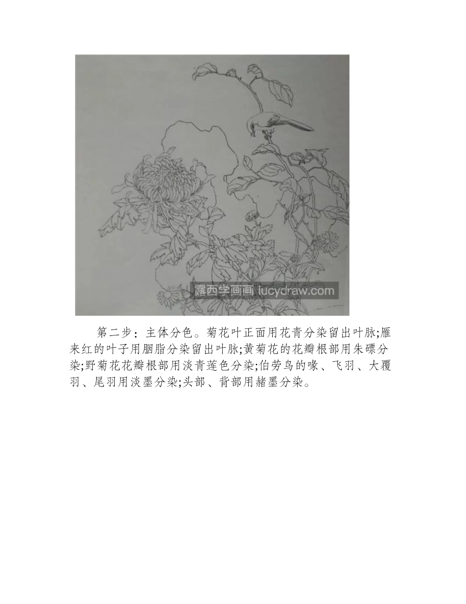菊花枝上的伯劳鸟怎么画_详细的过程图有哪些_工笔画教程_第2页