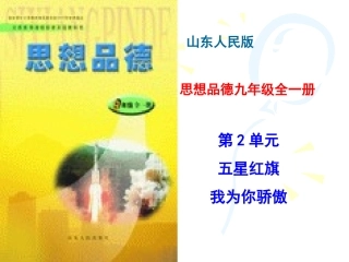 五星红旗我为你骄傲