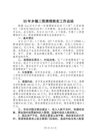 XX年乡镇三资清理核实工作总结