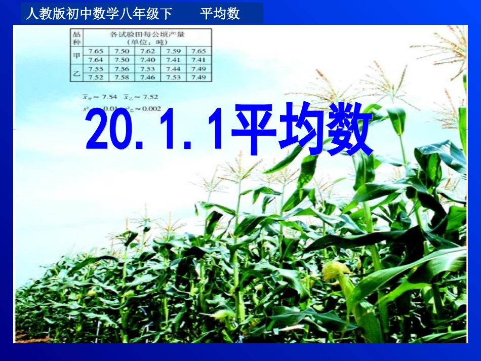 平均数PPT_第3页