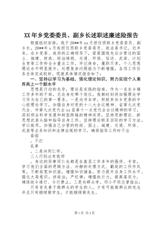 XX年乡党委委员、副乡长述职述廉述险报告