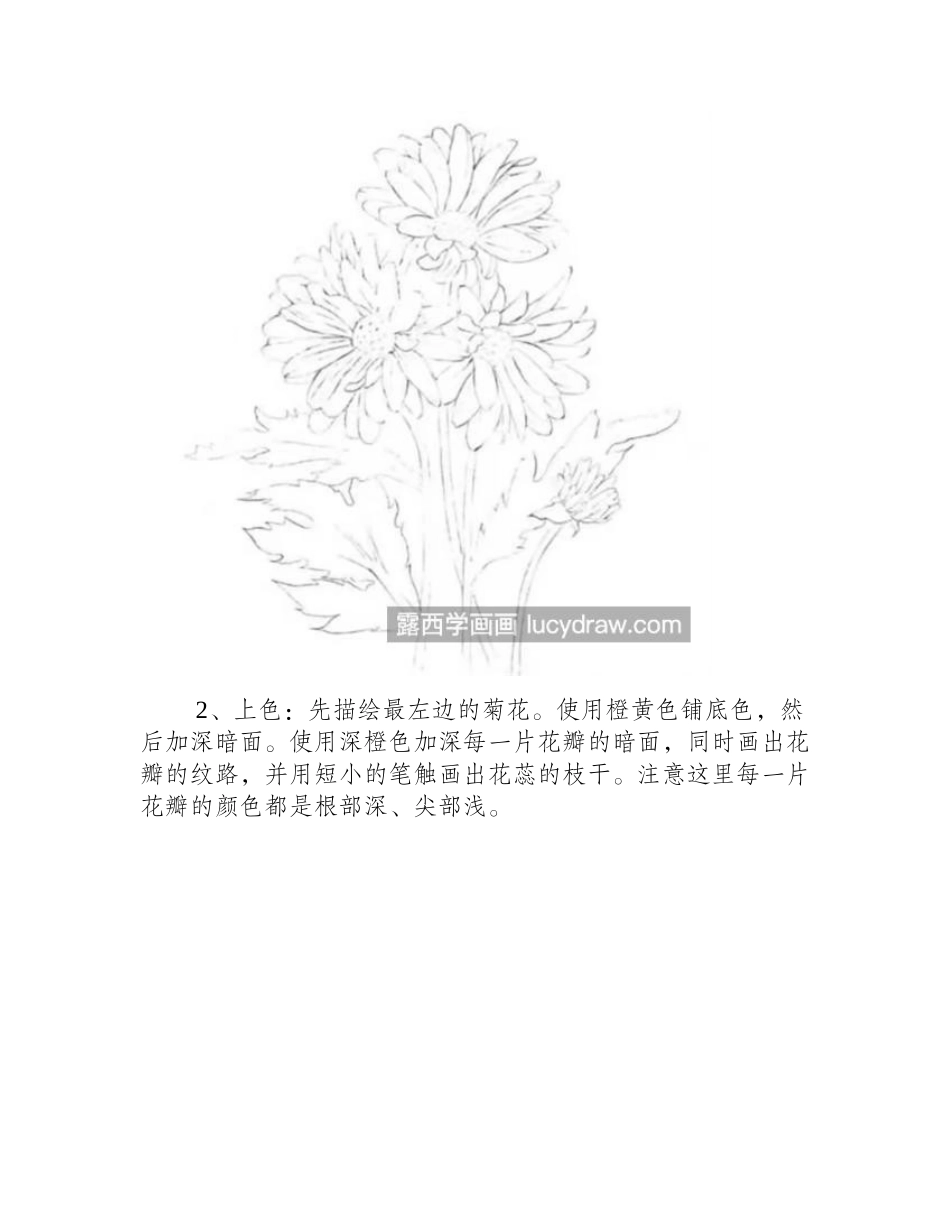 菊花怎么画_如何灵活处理轮廓_儿童画教程_第2页
