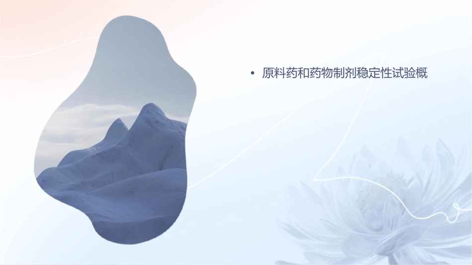 原料药和药物制剂稳定性试验指导原则1护理课件_第2页