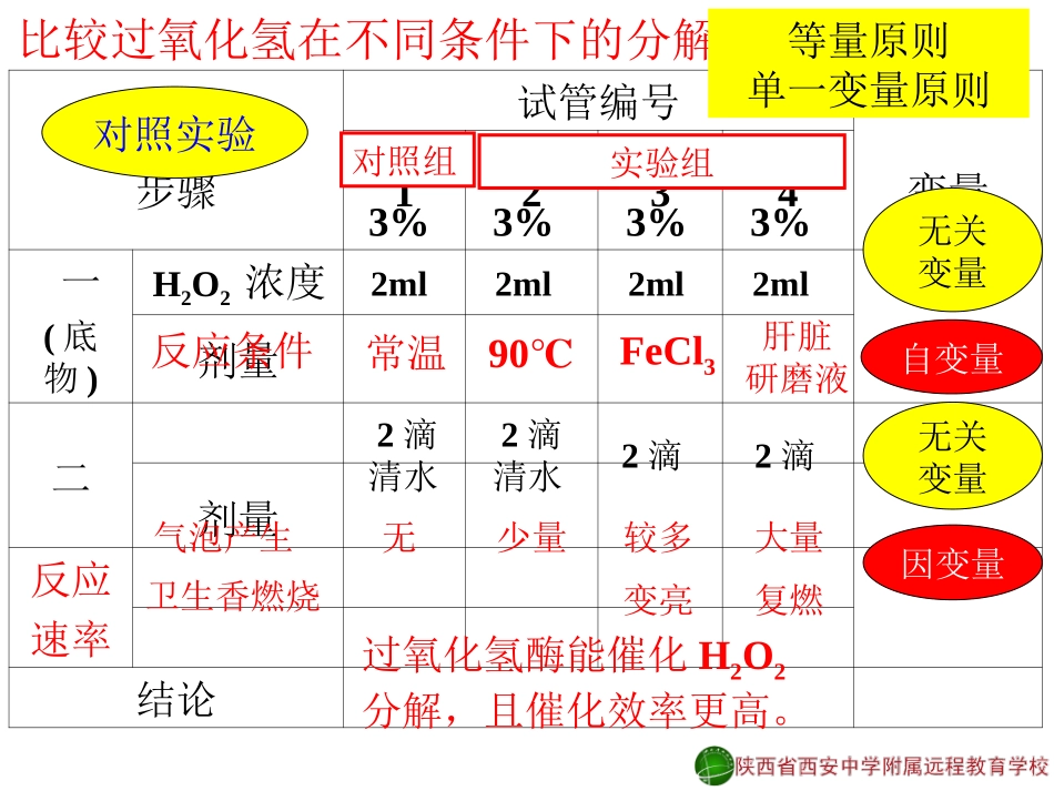 降低化学反应活化能的酶2-赵妙12-11-20_第2页
