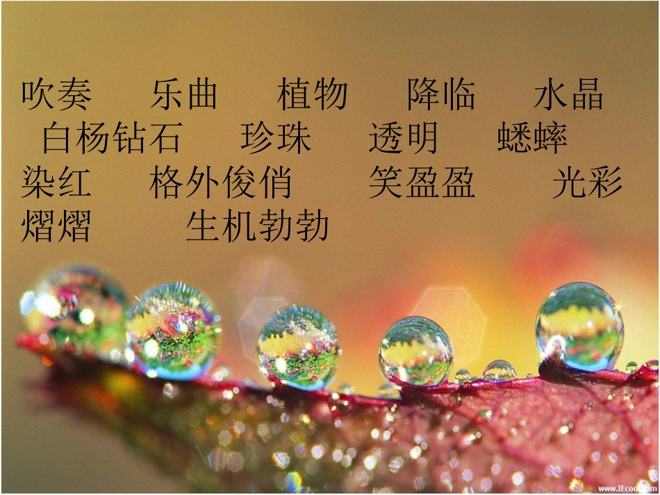 《小露珠》（转载）_第2页