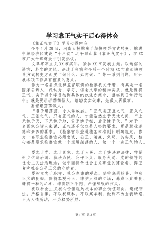 学习靠正气实干后心得体会 