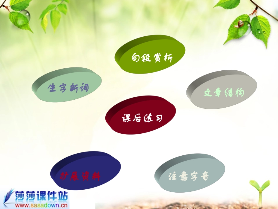 六年级《桃花心木》课件_第2页