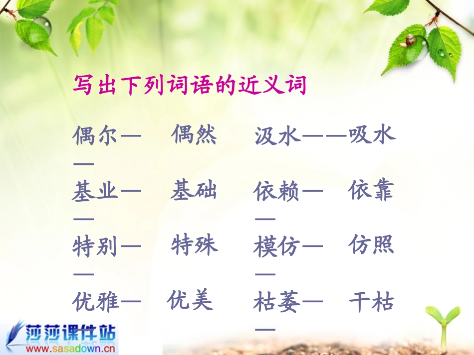六年级《桃花心木》课件_第3页