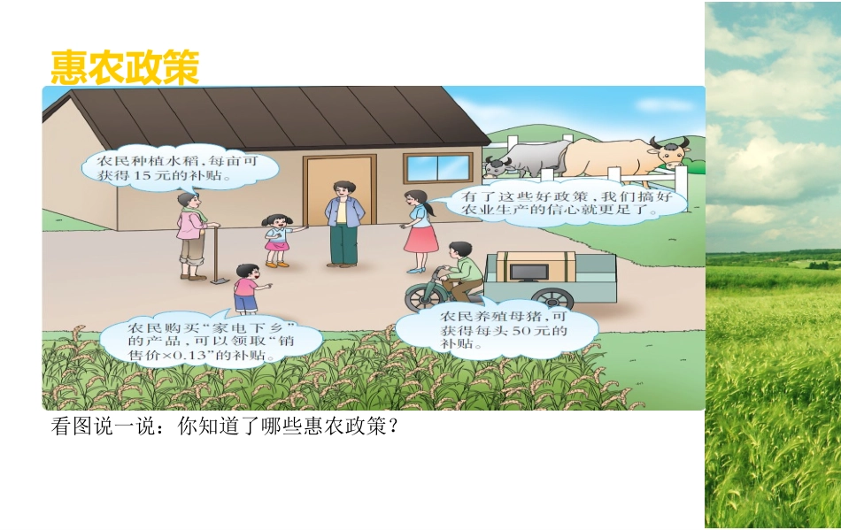 五年级上册惠农政策_第3页
