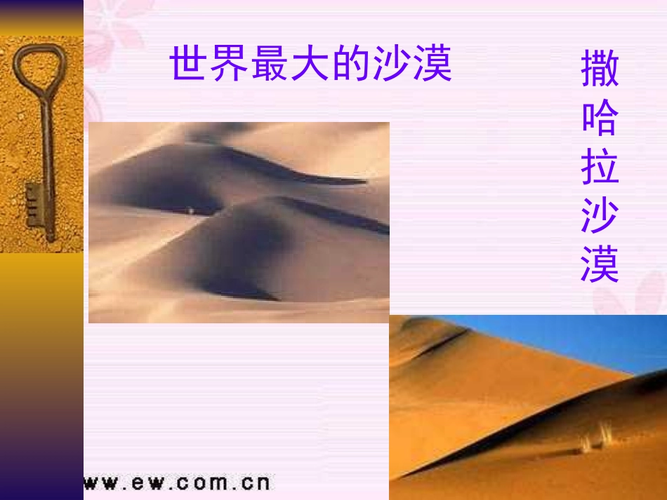 八年级语文沙漠里的奇怪现象1_第2页