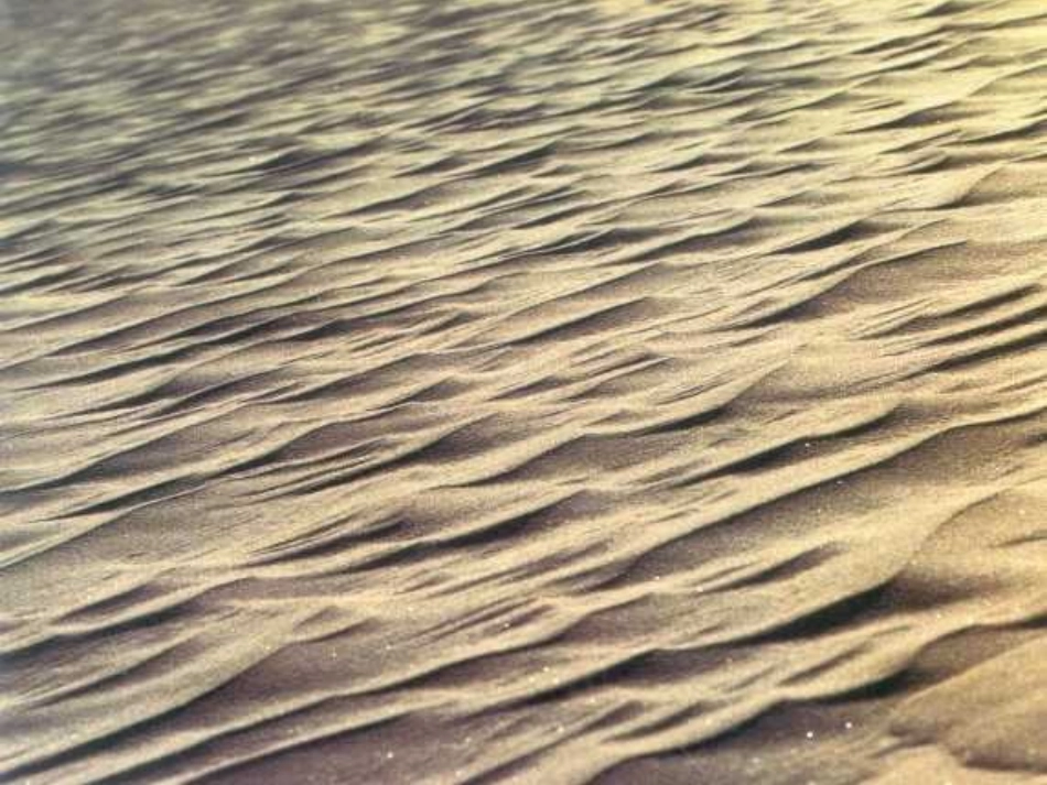 八年级语文沙漠里的奇怪现象1_第3页