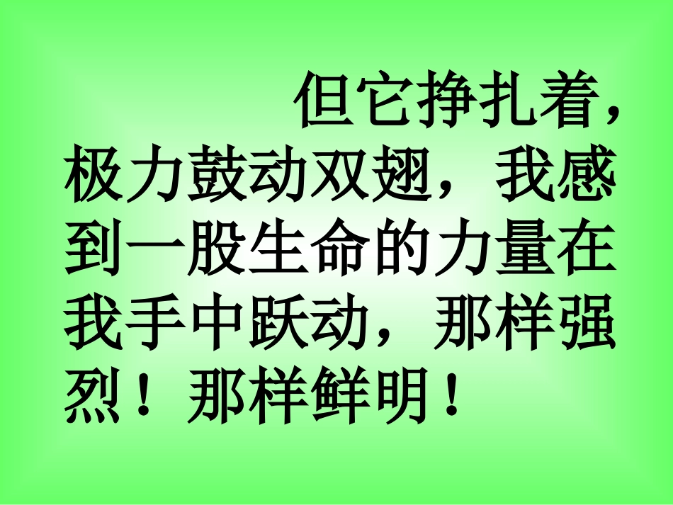 生命生命课件_第2页