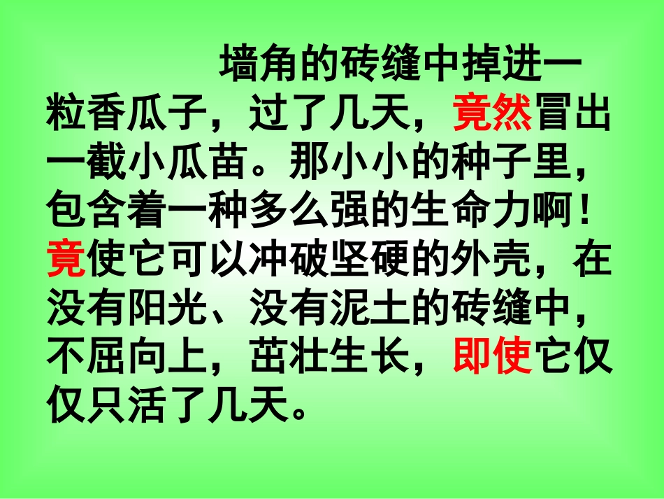 生命生命课件_第3页