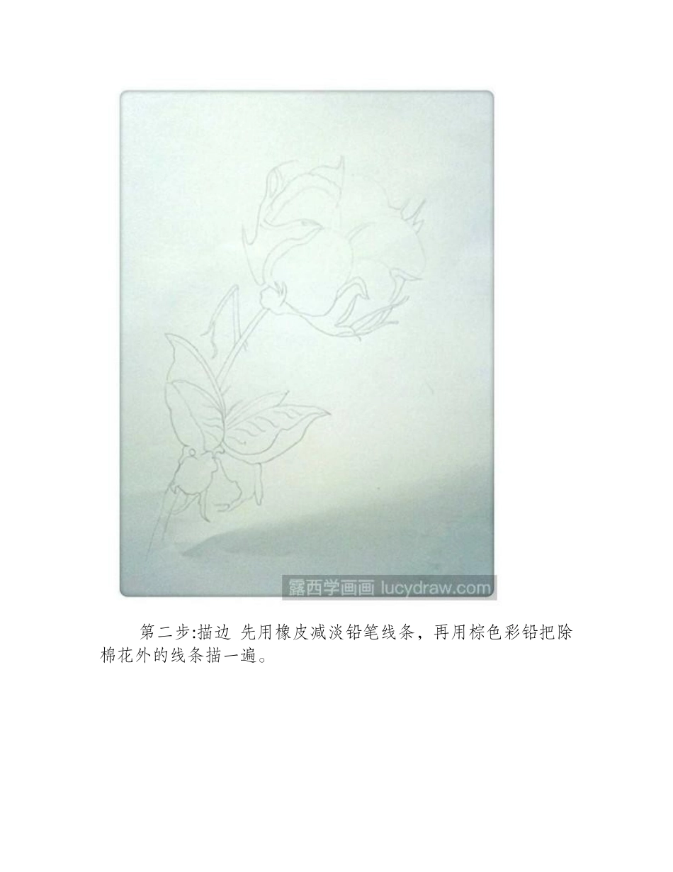 棉花彩铅画教程彩铅画教程_第2页