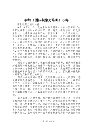 参加《团队凝聚力培训》心得 