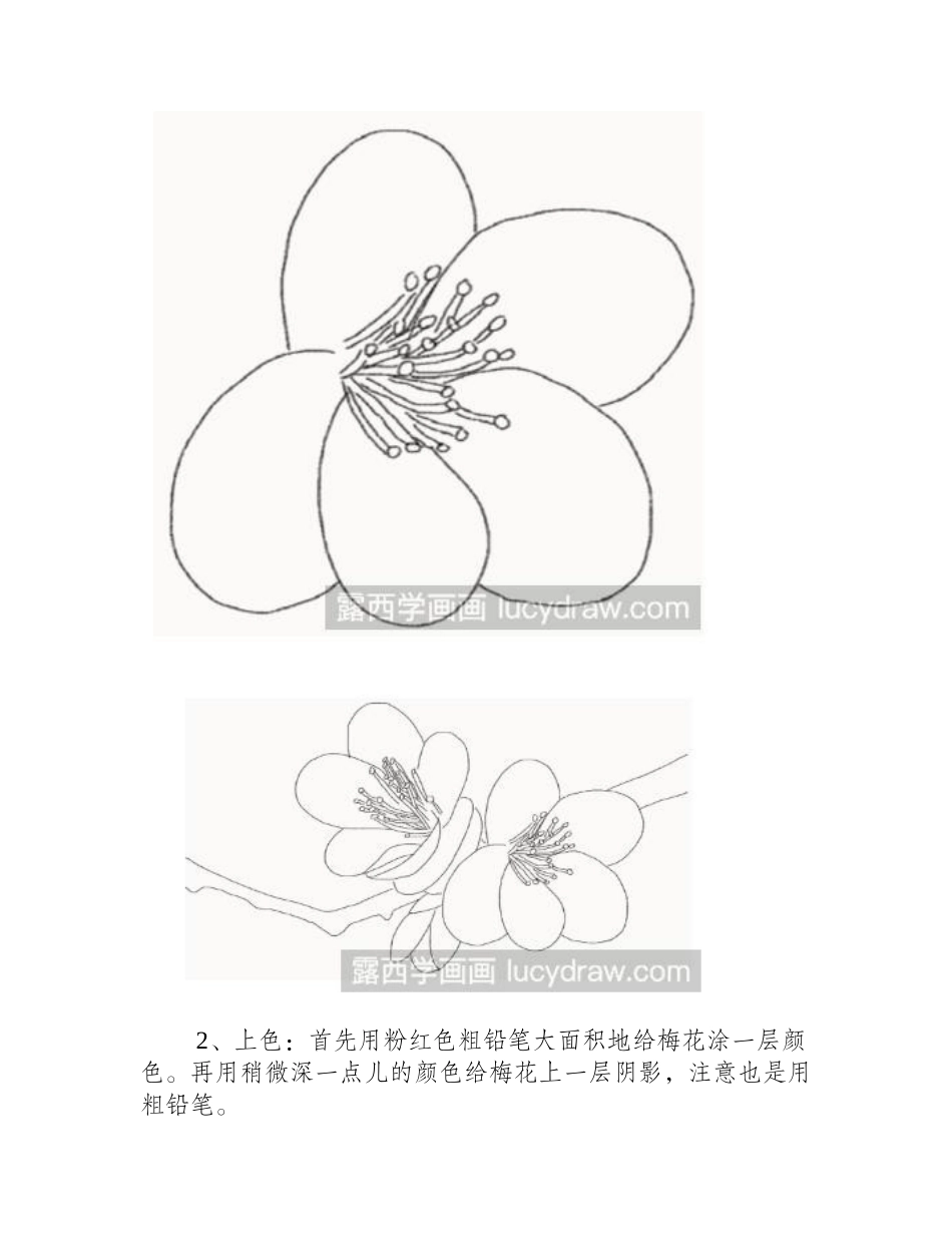 梅花的彩铅画法彩铅画教程_第2页