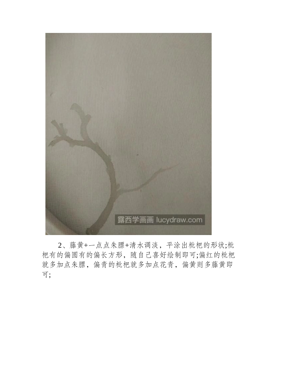没骨枇杷怎么画_如何使用工细技法_国画教程_第2页
