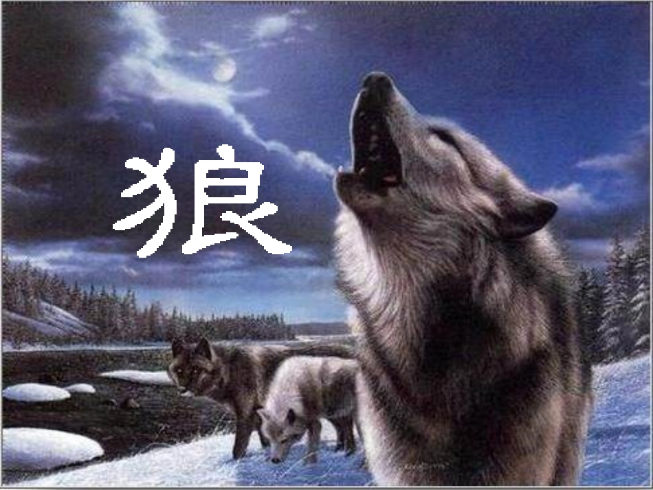 狼主备赵海荣_第1页