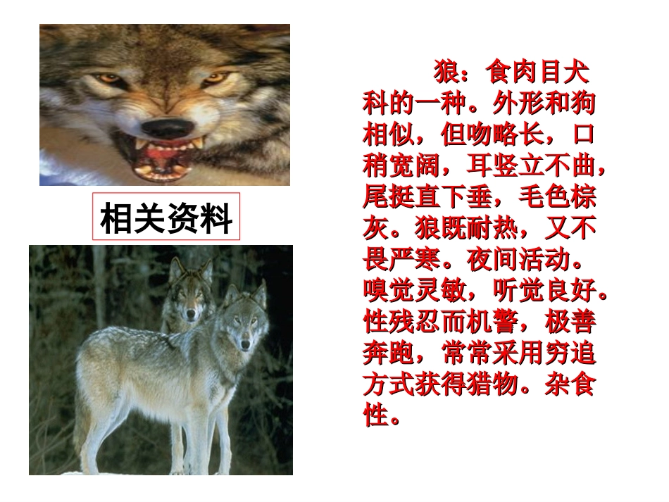 狼主备赵海荣_第2页