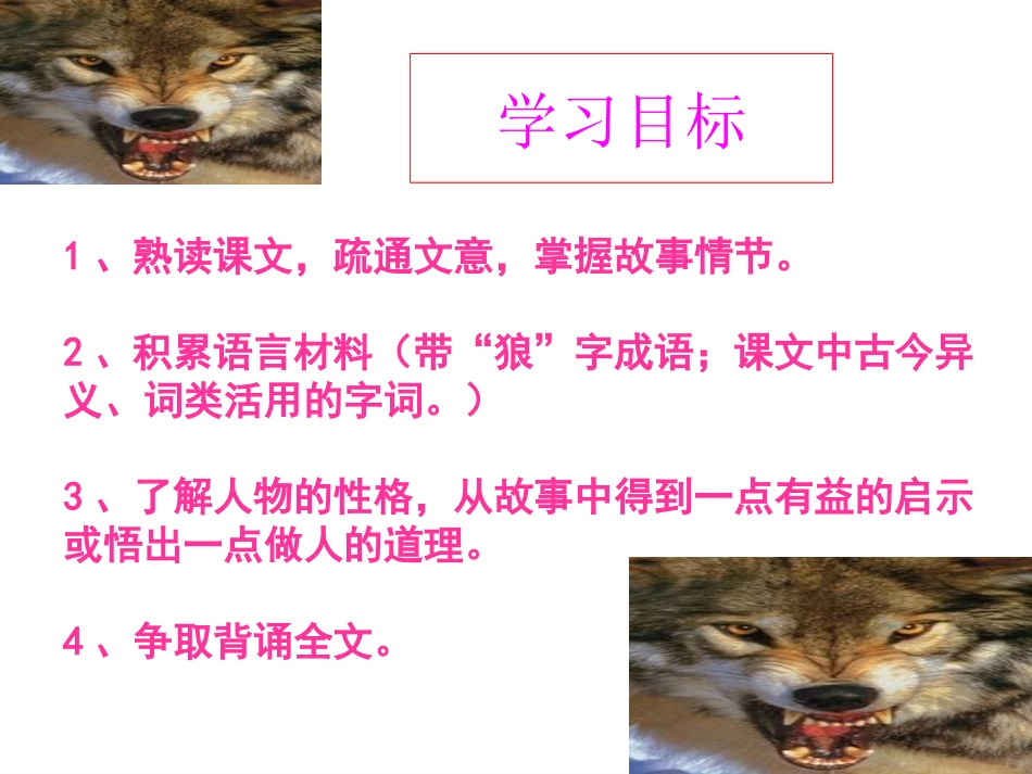 狼主备赵海荣_第3页