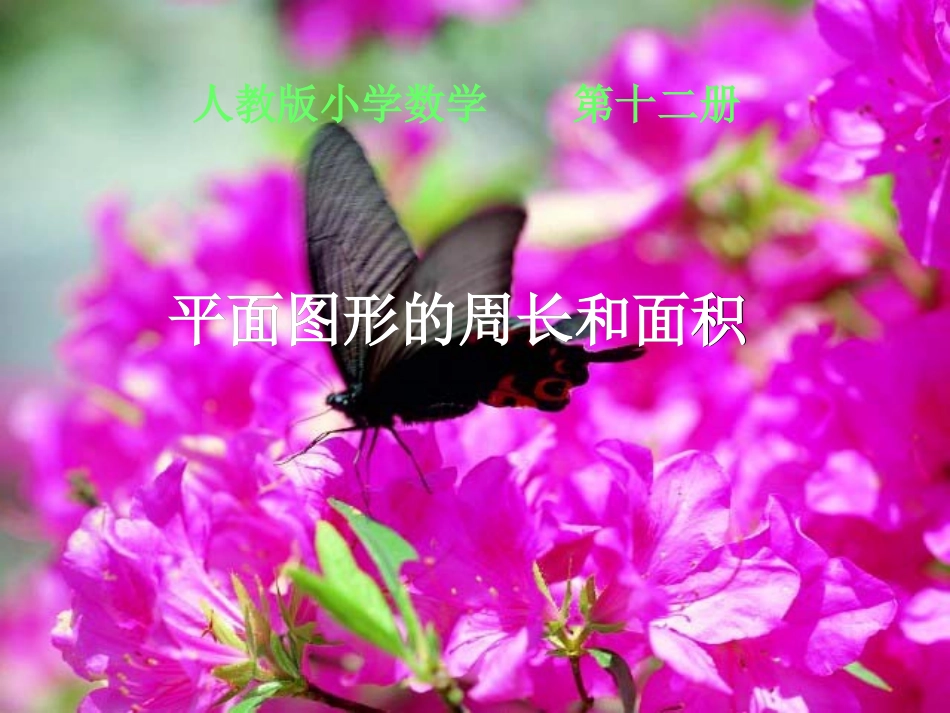 平面图形的周长和面积MicrosoftPowerPoint演示文稿_第2页