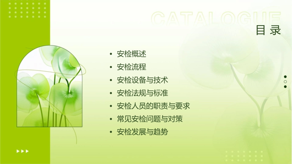 安检基础知识课件_第2页