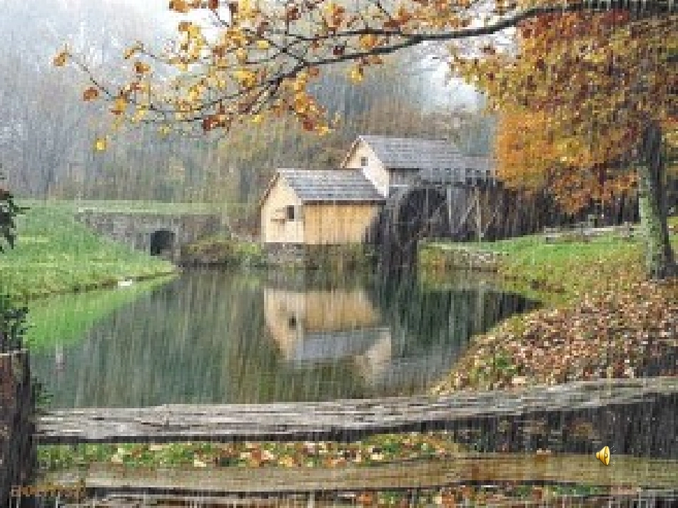 秋天的雨22_第1页