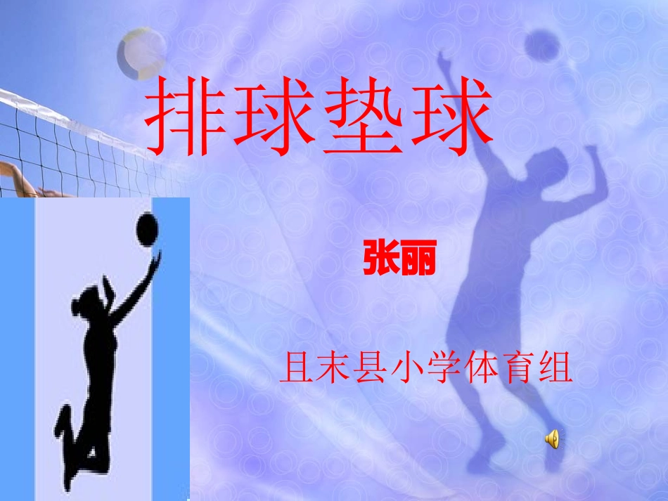 张丽排球课件_第1页