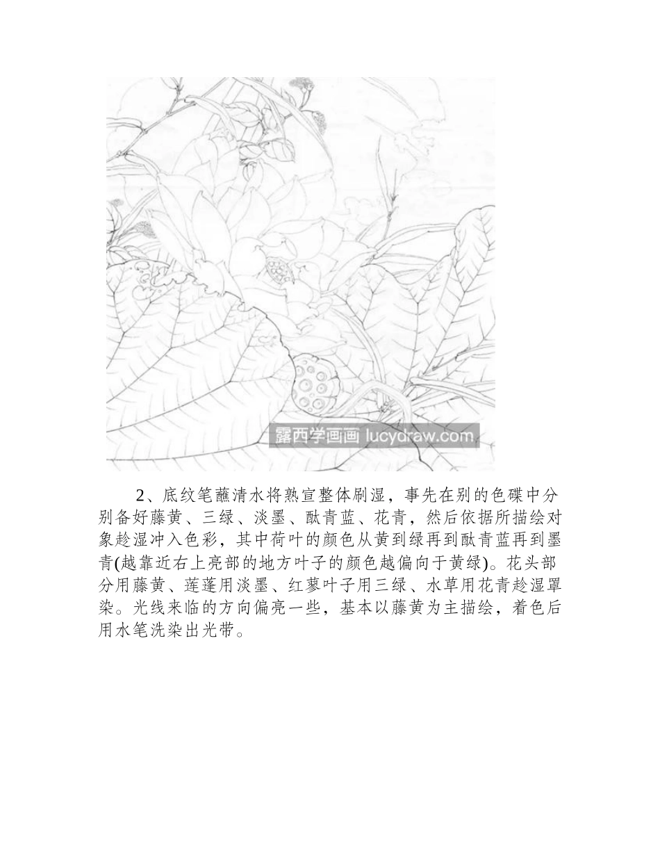 金莲怎么画_详细的工笔画步骤有几步_工笔画教程_第2页