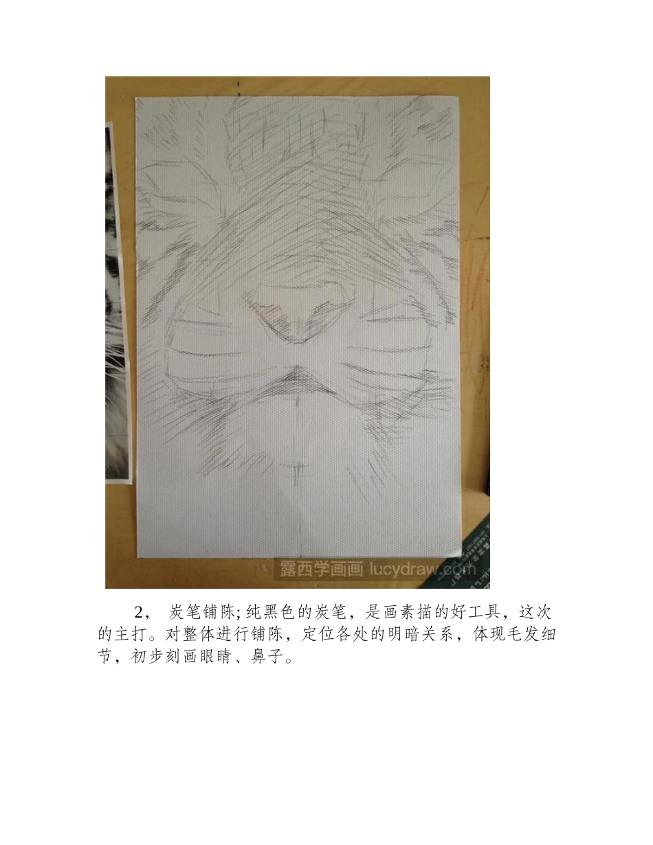 老虎插画教程插画教程_第2页