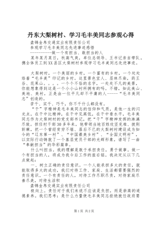 丹东大梨树村、学习毛丰美同志参观心得 