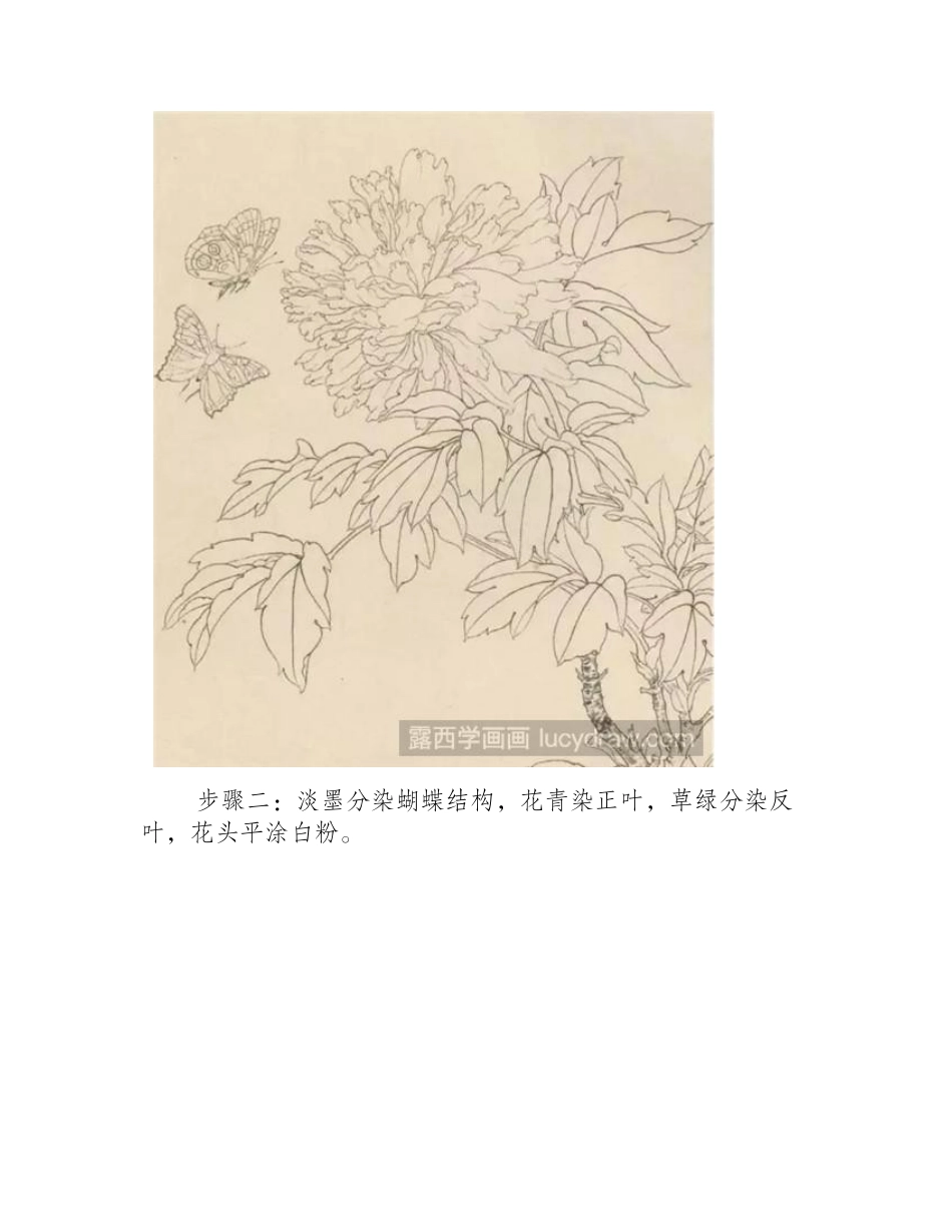 牡丹工笔画步骤工笔画教程_第2页