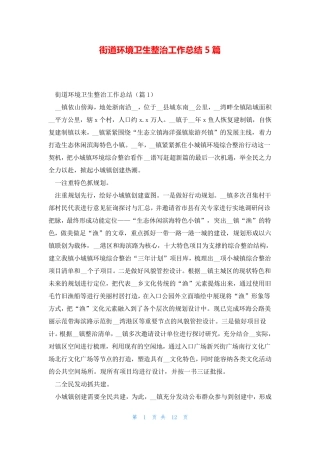 街道环境卫生整治工作总结5篇 
