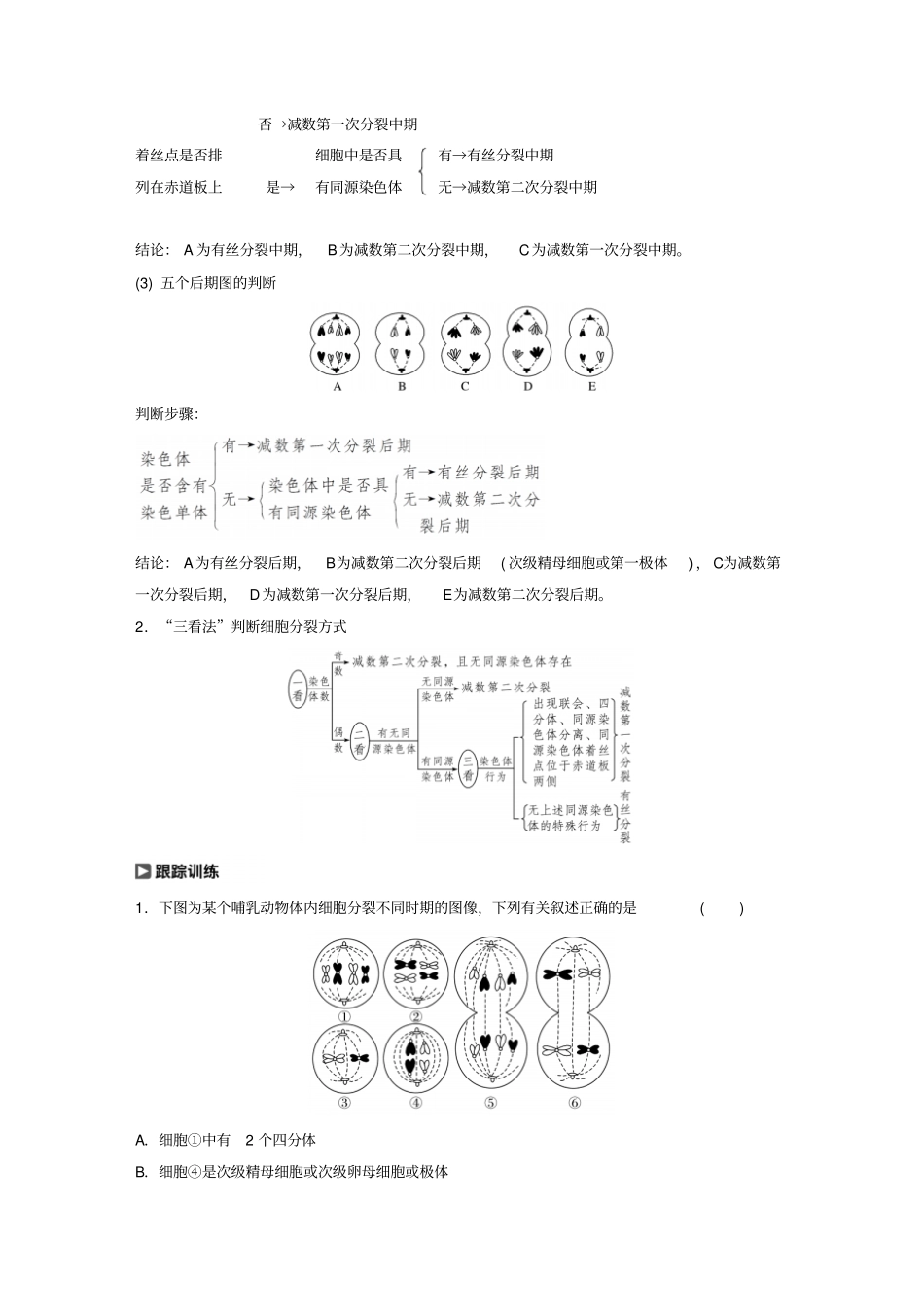 2019届高考生物大一轮复习热点题型三：多角度辨析减数分裂和有丝分裂学案_含答案_第2页