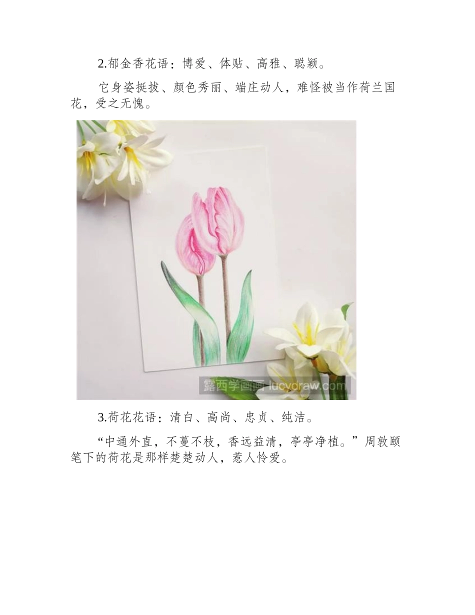 那些花儿彩铅画作品欣赏彩铅画作品5_第2页