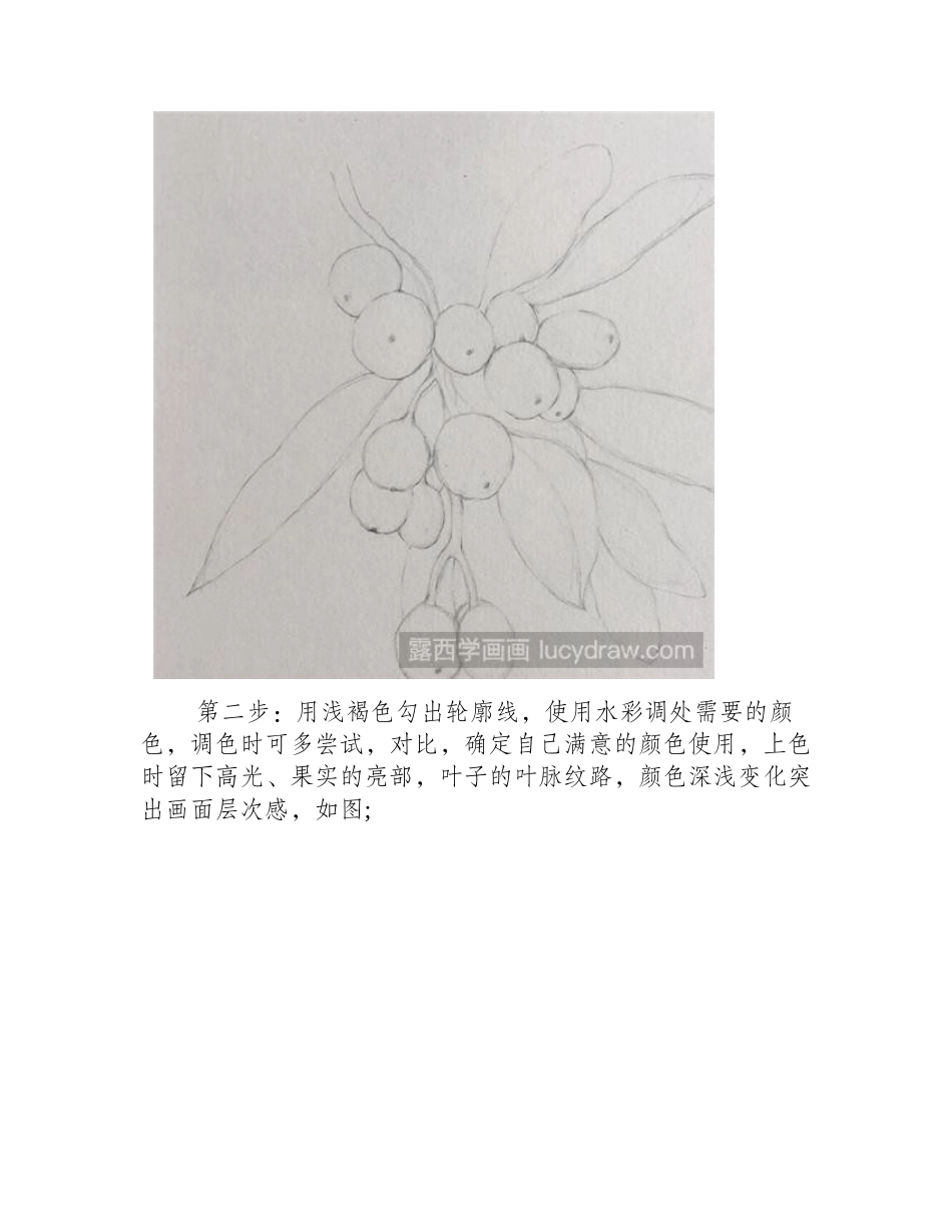 枇杷水彩画教程水彩画教程_第2页